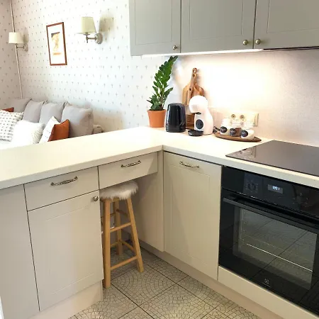 Suur-posti 22 Garden Apartamento Pärnu